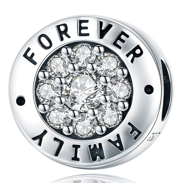 Solid 925 Sterling Silver Forever Family Inscription CZ Charm