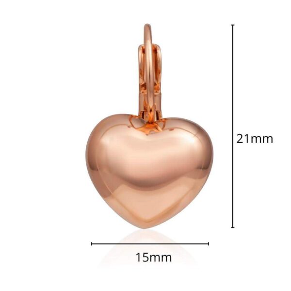 Heart Leverback Earrings - Image 2