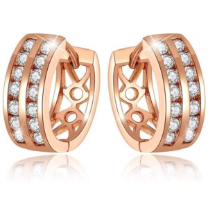 Dual Channel Earrings