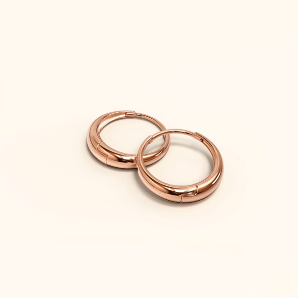 Ciara Chic Graduated Hoop Earrings Rose Gold - Image 2