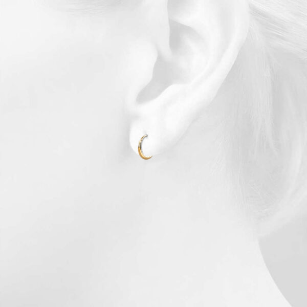Ciara Chic Graduated Hoop Earrings Gold - Image 4