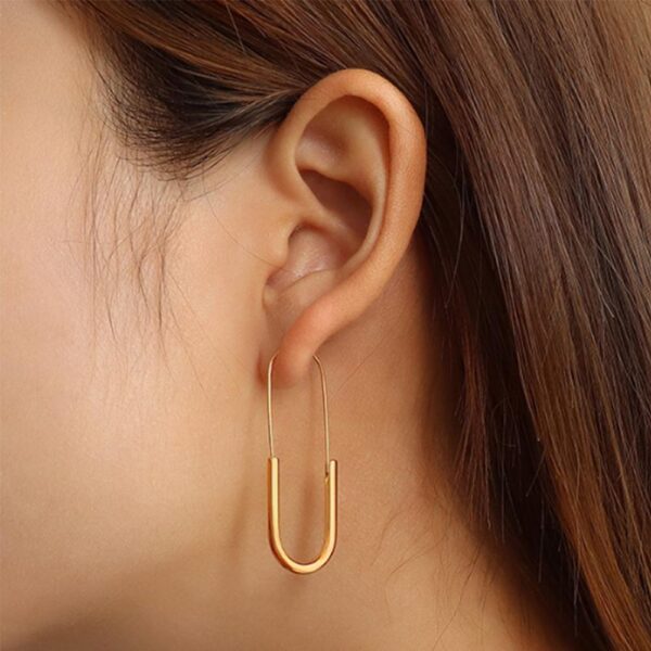 Havana Gold Dangle Earrings - Image 4