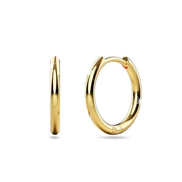 Edgy Gold Hoop Earrings