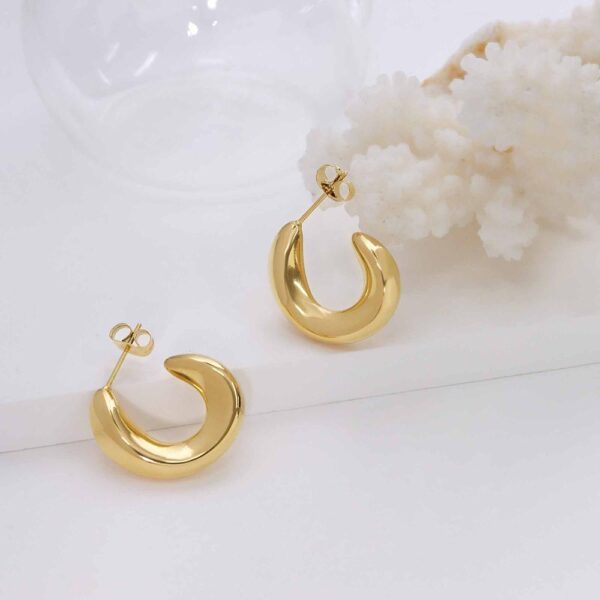Precious Gold Stud Earrings - Image 5