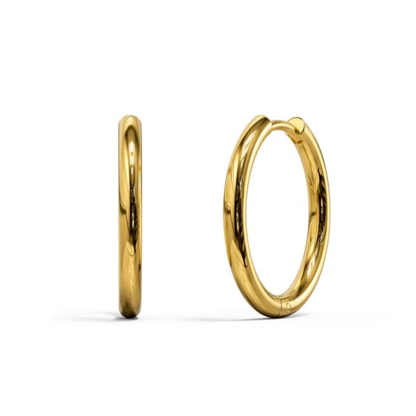 Gold Halo Stainless Steel Clicker Earrings