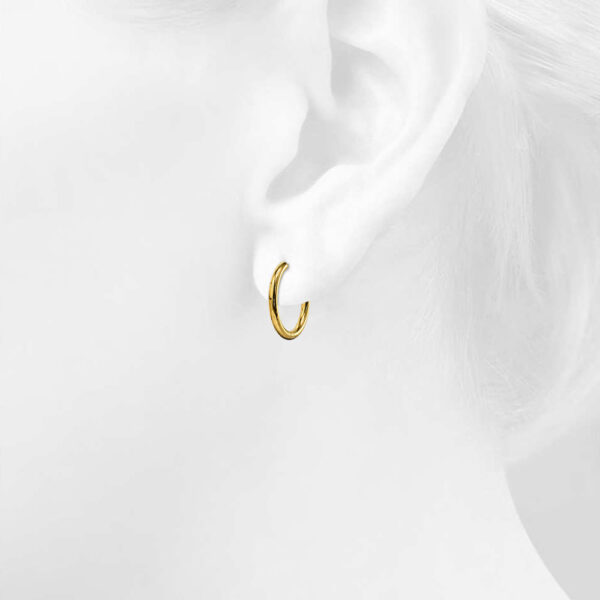 Gold Halo Stainless Steel Clicker Earrings - Image 3