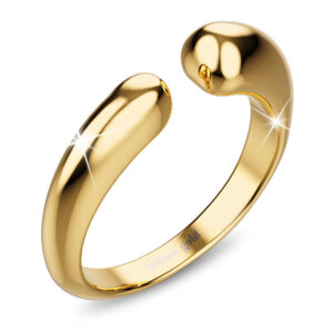 Gaping Jasper Ring in Gold