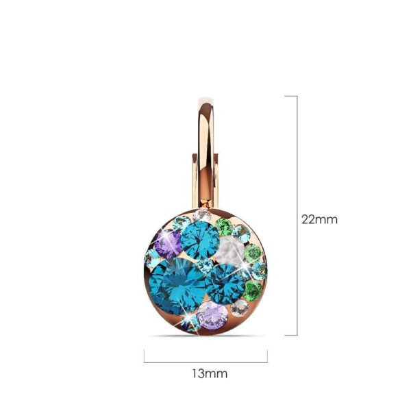 Clustered Austrian Crystals Leverback Earrings - Image 4